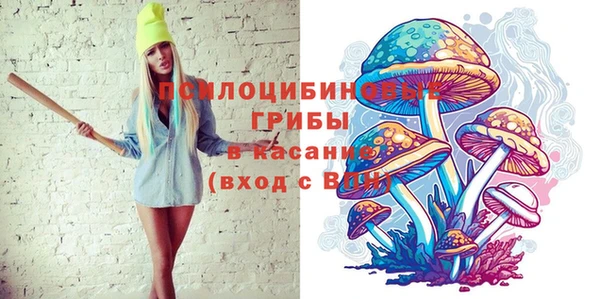 прущая мука Надым